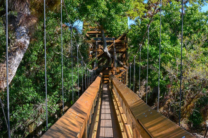 View of the Myakka River State Park Canopy Walk on a sunny day in Sarasota, Florida