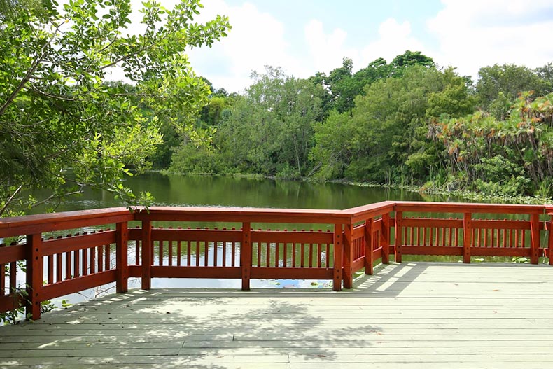 A walkway through the scenic wetlands of Flamingo Gardens in Davie, Florida