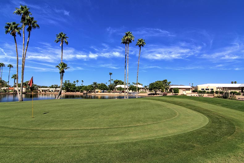 Palm trees and a pond beside the golf course at Fountain of the Sun in Mesa, Arizona