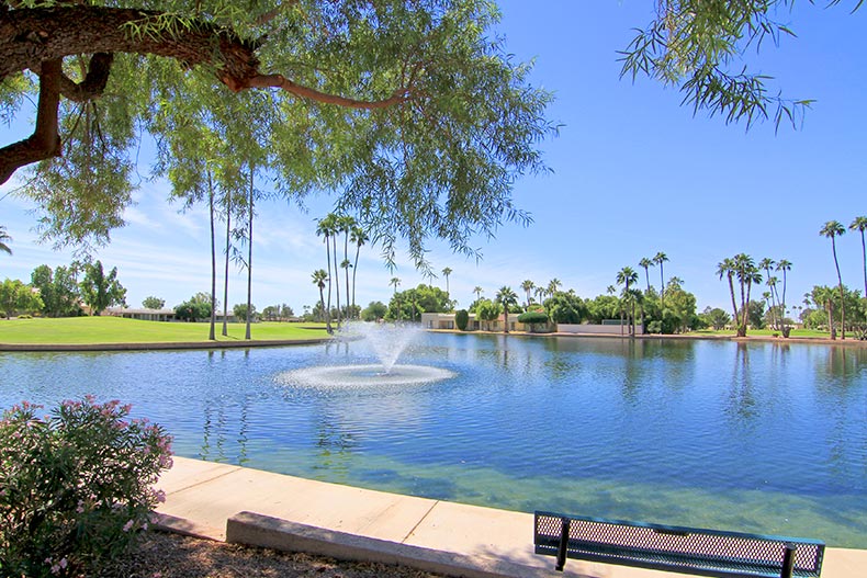 A bench beside a pond surrounded by trees at Fountain of the Sun in Mesa, Arizona