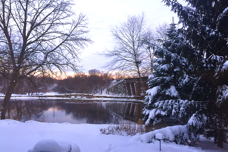 Winter view of Fox River with snow on the ground and trees, located in Illinois