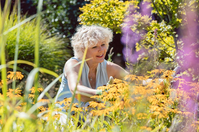 A blond senior woman gardening on a sunny day