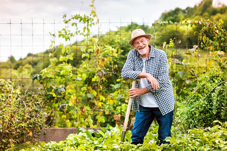 Senior man smiling in garden