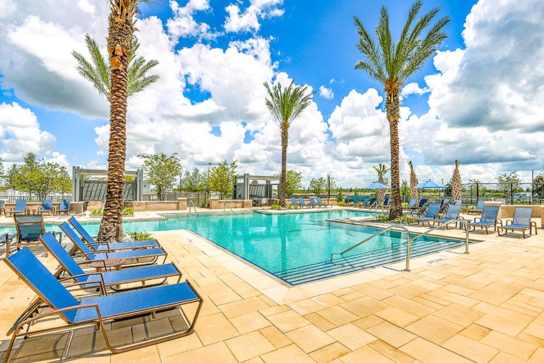 Lounge chairs and palm trees beside the outdoor pool at Gatherings of Lake Nona in Orlando, Florida