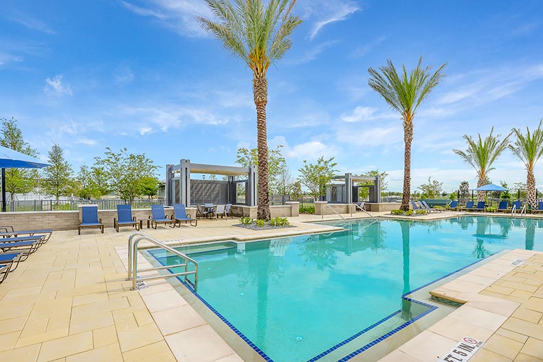 Palm trees beside the outdoor pool at Gatherings of Lake Nona in Orlando, Florida