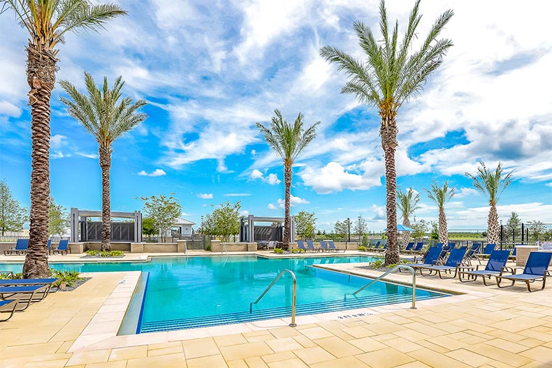 Resort-style pool lined with palm trees in Gatherings at Lake Nona