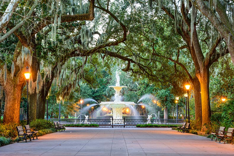 Trees lining the walkway to Forsyth Park Fountain in Savannah, Georgia