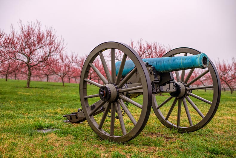 A blue-green canon in a peach orchard, located in Gettysburg, Pennsylvania