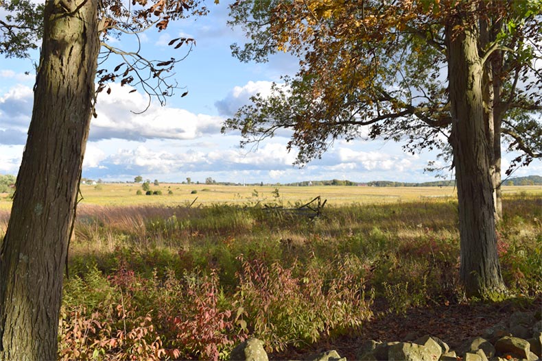 A meadow framed by trees in Gettysburg, Pennsylvania