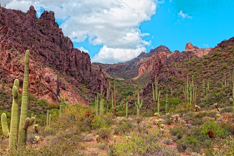 Photo of a mountain range with cactuses in Gold Canyon, Arizona