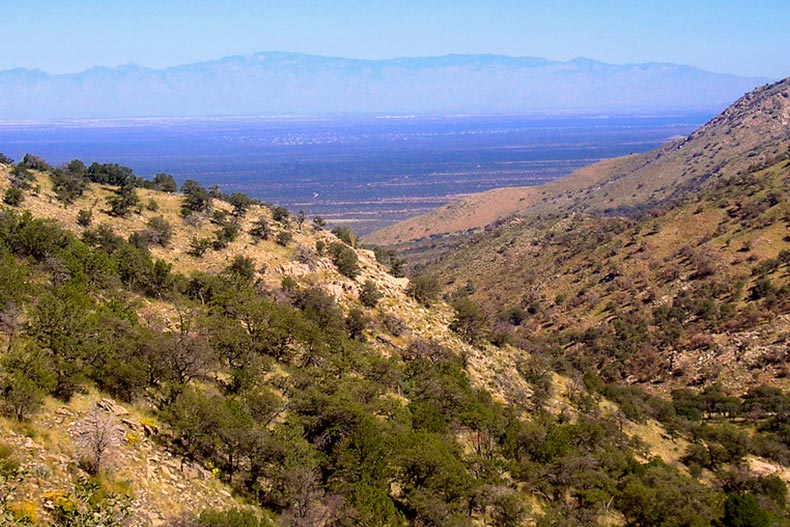 View of Tucson, Arizona from Madera Canyon