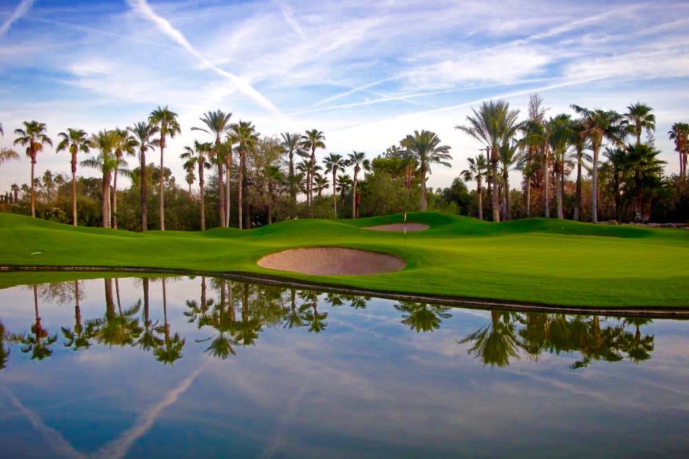 Palm trees surrounding a golf course at Laguna Woods Village in Laguna Woods, California 