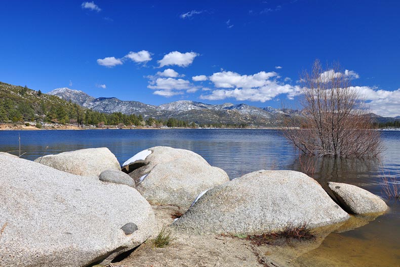 A tree and some boulders along the shoreline of Hemet Lake in California