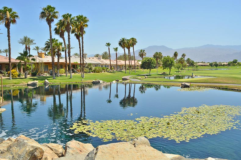 Palm trees beside a pond on the grounds of Heritage Palms in Indio, California