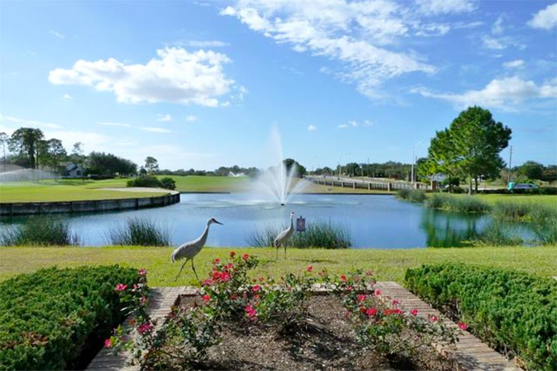 Greenery surrounding a fountain in a pond at Heritage Pines Florida in Hudson, Florida