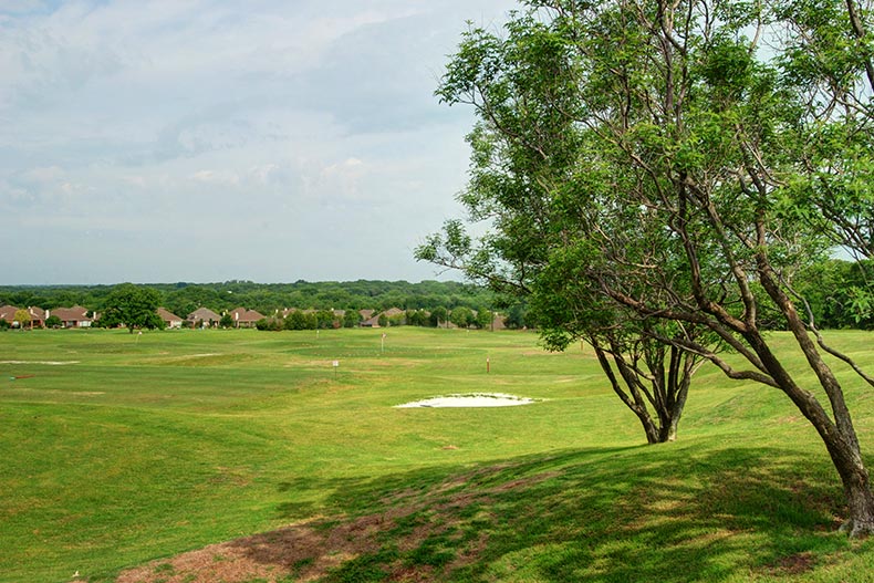 Trees on the driving range at Heritage Ranch in Fairview, Texas