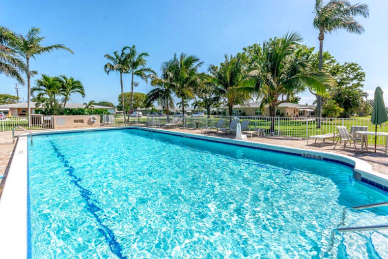 Palm trees surrounding the outdoor pool at High Point of Boynton Beach in Florida