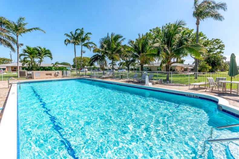 Palm trees surrounding the outdoor pool at High Point of Boynton Beach in Boynton Beach, Florida