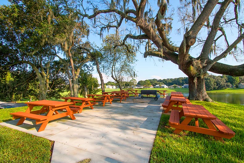 Trees surrounding picnic tables beside a picturesque pond at Highland Fairways in Lakeland, Florida