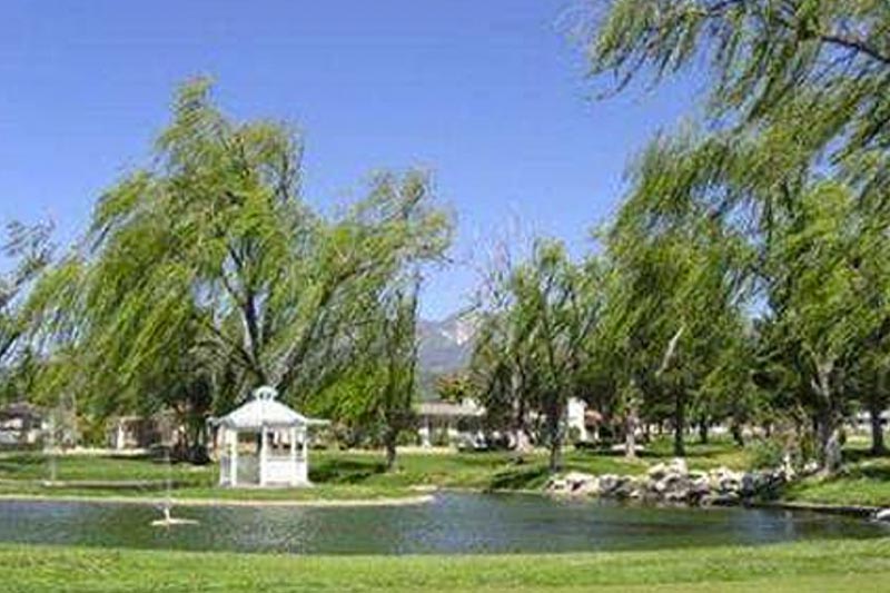 View of the pond and gazebo at Highland Springs Country Club with weeping willows surrounding the area.