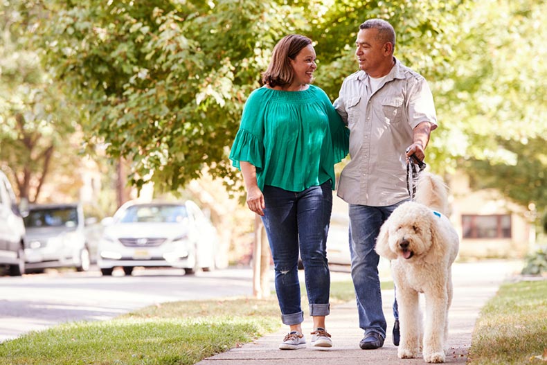 A senior couple walking their dog along a suburban sidewalk on a sunny day