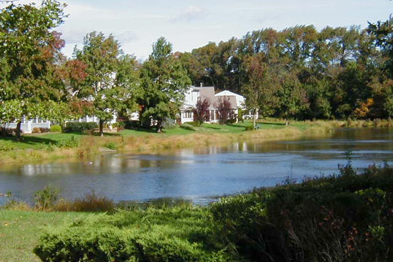 Trees surrounding a picturesque pond at Holiday Village East in Mt. Laurel, New Jersey