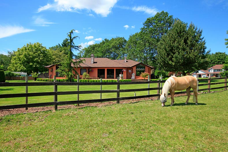 A horse standing along the wood fence in front of a house in an equestrian retirement community