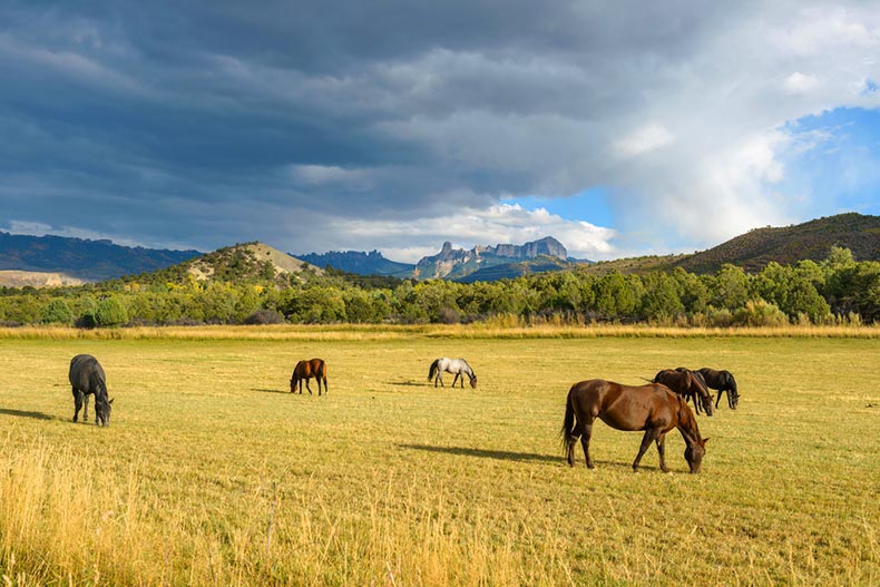 Storm clouds coming over a mountain horse ranch near Ridgeway, Colorado