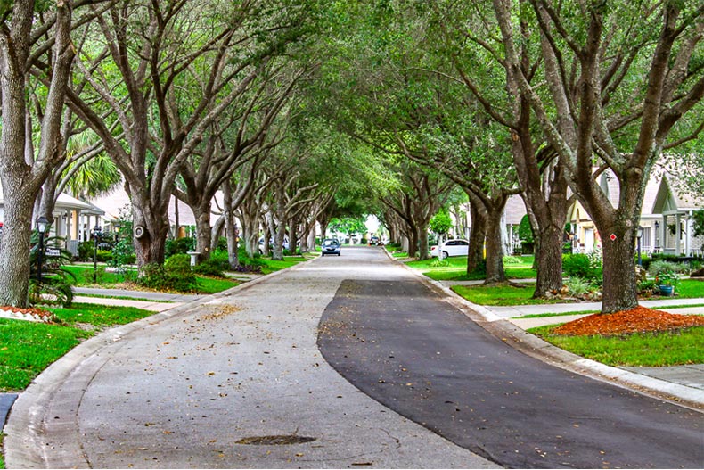 View of a tree-lined residential street in On Top of the World in Ocala, Florida