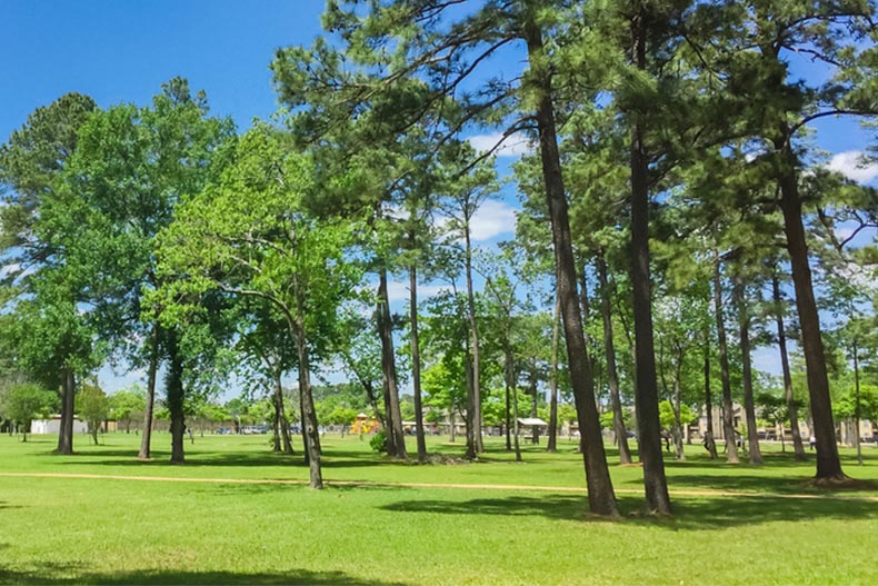 A green grass meadow with trees in a city park in Humble, Texas