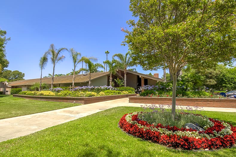 Greenery surrounding the clubhouse at Huntington Landmark in Huntington Beach, California