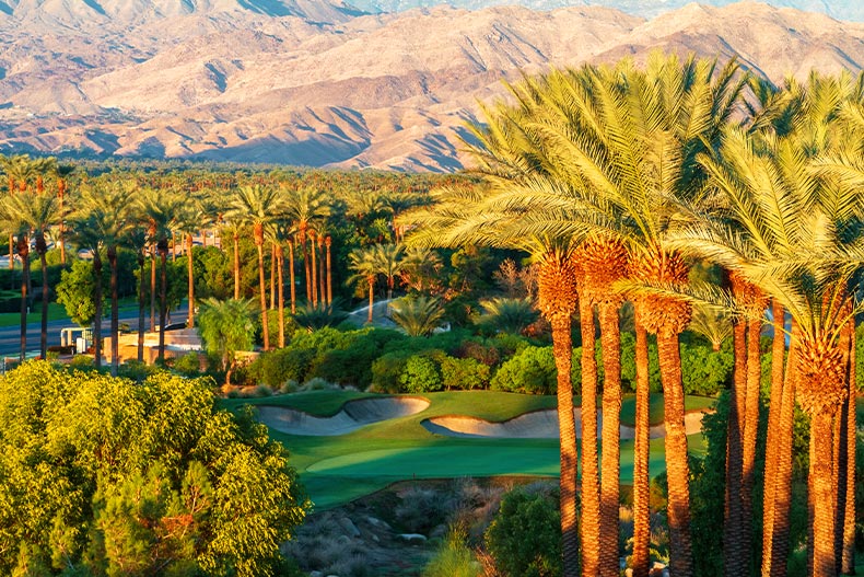 Photo of palm trees overlooking a golf course in Indian Wells, California