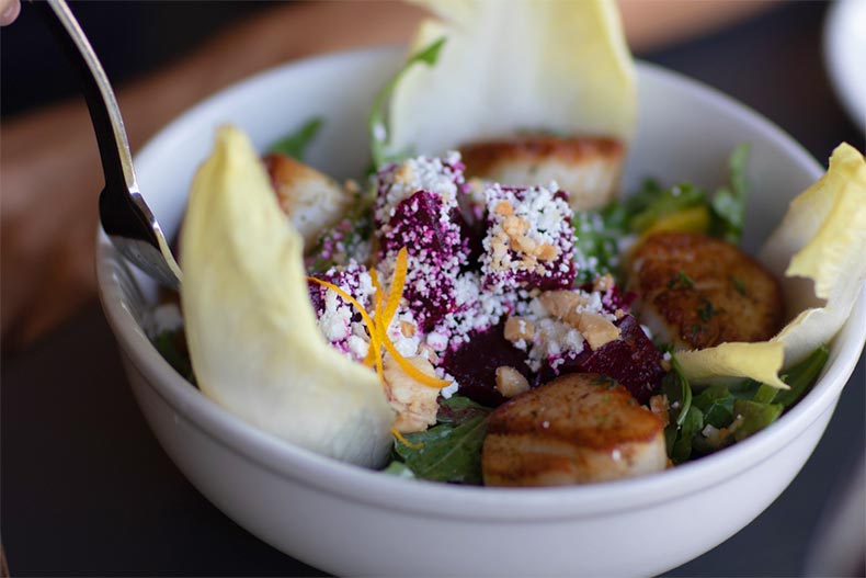 A healthy scallop salad at a restaurant in Florida