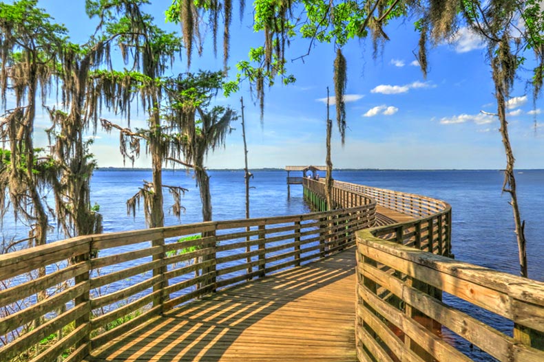 A pier surrounded by cypress trees in Alpine Groves Park near Mandarin in Jacksonville, Florida