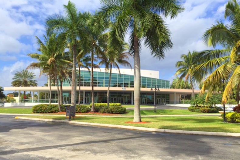 Palm trees outside the Performance Theater at Kings Point in Tamarac in Florida