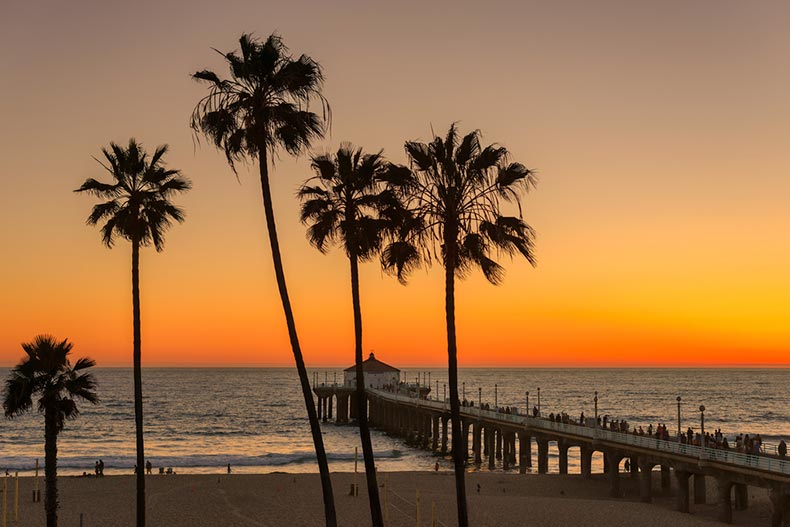Sunset view of palm trees over the Manhattan Beach and Pier in Los Angeles, California