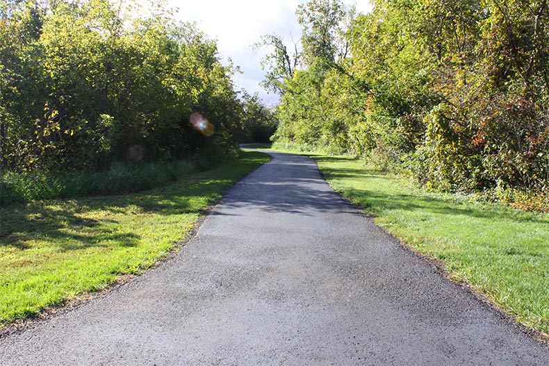 A picturesque walking path through the trees in Lago Vista in Lockport, Illinois