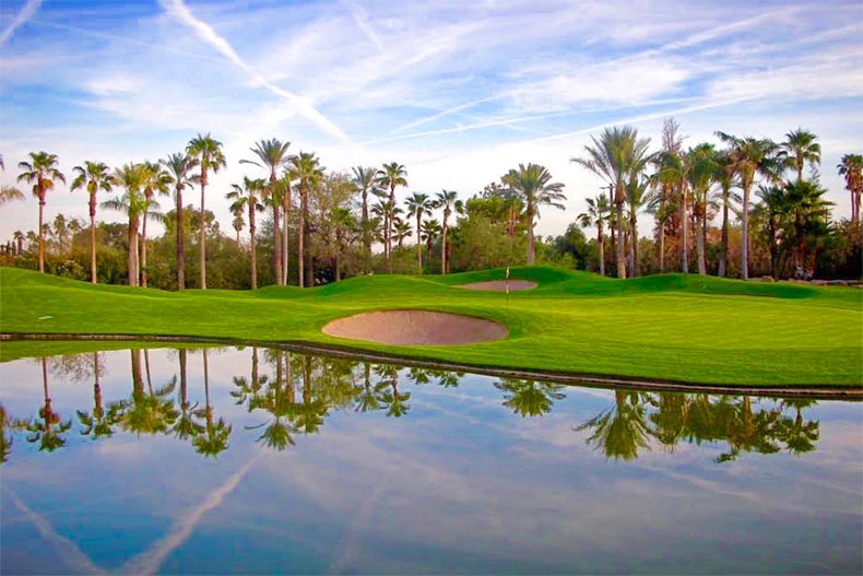 Palm trees surrounding the golf course at Laguna Woods Village in Laguna Woods, California