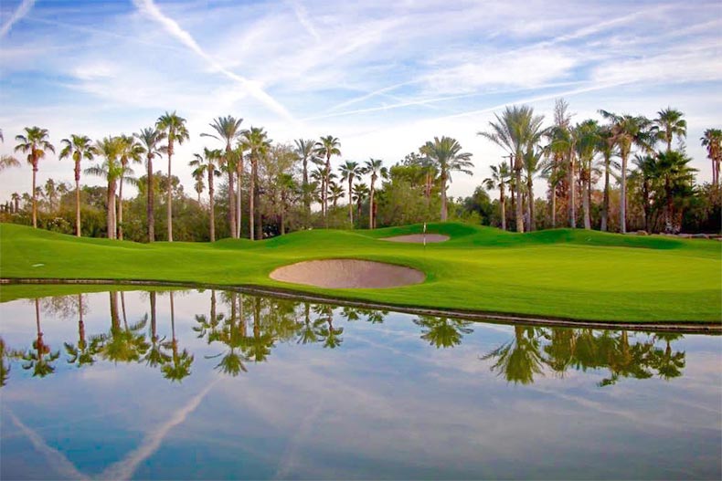 Palm trees surrounding the golf course at Laguna Woods Village in California