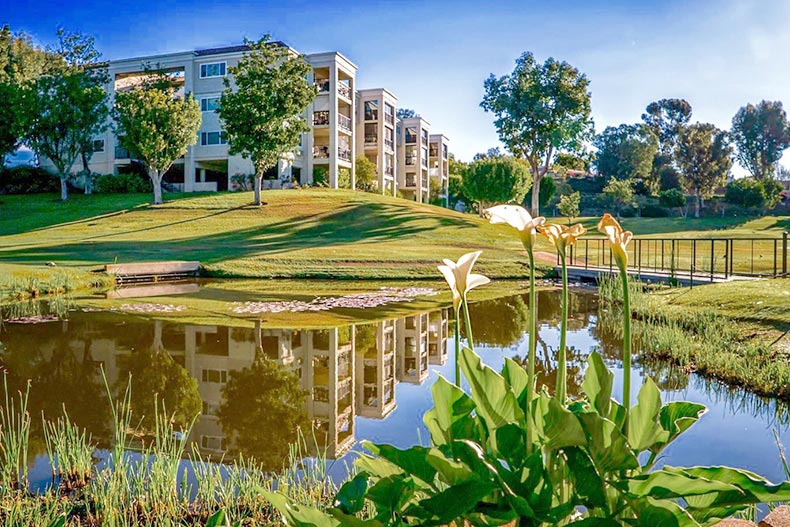 A picturesque pond beside the condo buildings at Laguna Woods Village in California