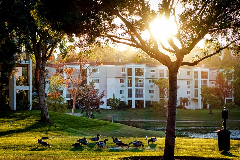 Exterior view of a condo building in Laguna Woods Village, California with a pond and geese in the foreground