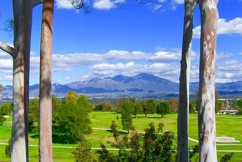 View of the lush landscape surrounding Laguna Woods Village in California