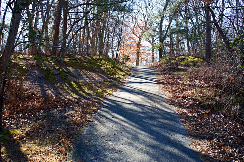 A paved trail through Rancocas State Park in New Jersey