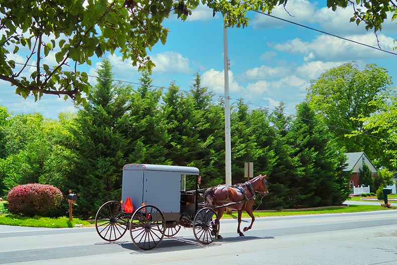 A horse and carriage trotting down a country road in Lancaster County, Pennsylvania
