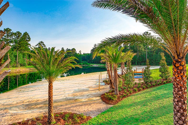 Palm trees beside a pond at Latitude Margaritaville Hilton Head in Hardeeville, South Carolina