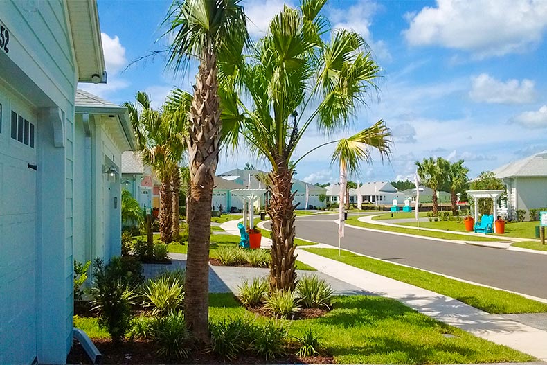Street in Latitude Margaritaville Daytona Beach lines with palm trees