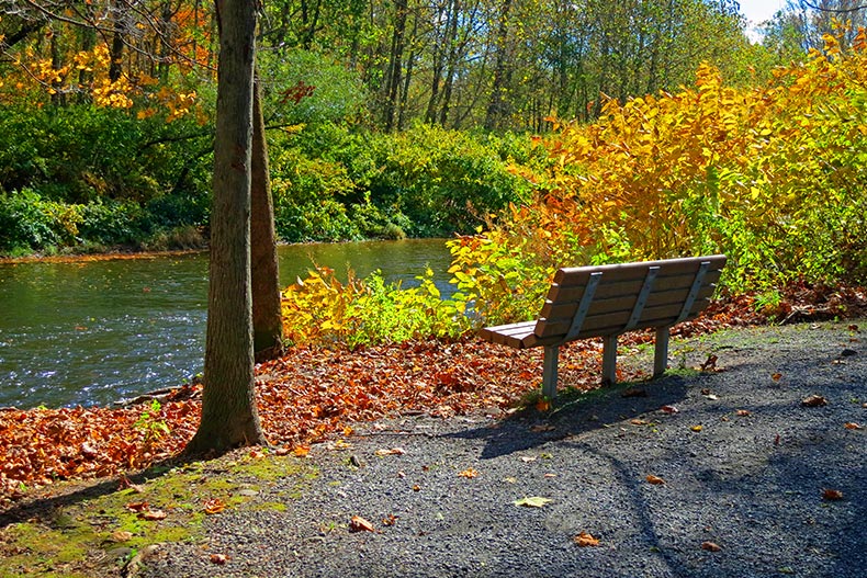A park bench next to the Lehigh River during autumn in Leigh Valley, Pennsylvania