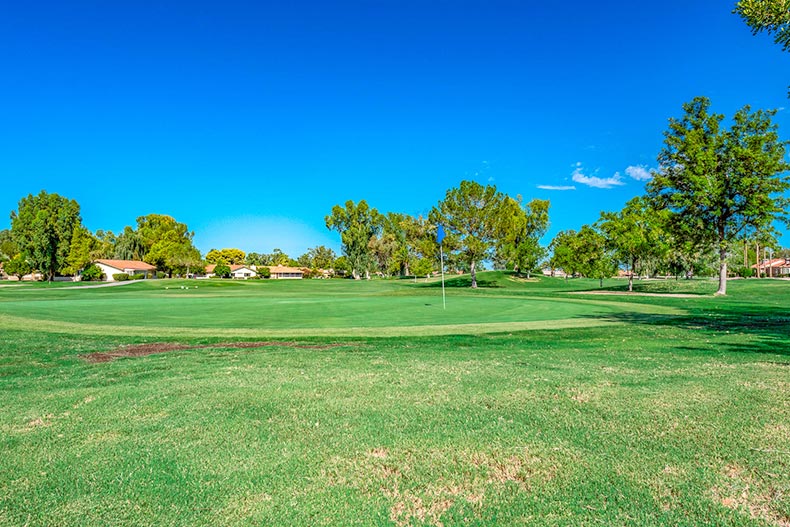 Blue sky over the golf course at Leisure World in Mesa, Arizona