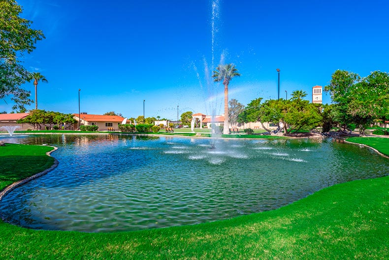 Greenery surrounding a pond with a fountain on the grounds of Leisure World in Mesa, Arizona