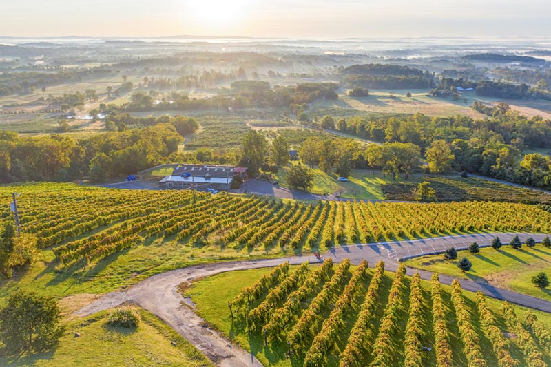 Bluemont Vineyards located in Loudoun County, Virginia. 